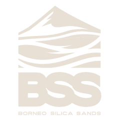 Logo_bss_dark3